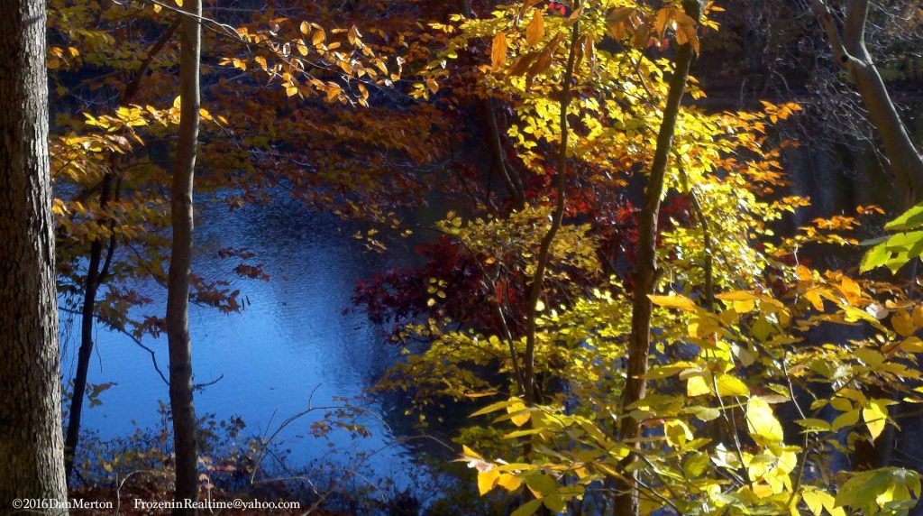 autumn-leaves-blue-lake
